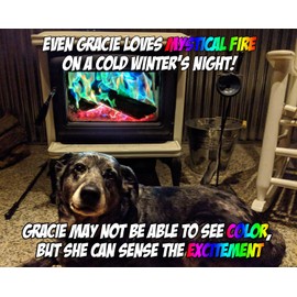 Mystical Fire Flame Colorant Vibrant Long-Lasting Pulsating Flame Color Changer for Indoor or Outdoor Use 0.882 oz Packets 12 Pack