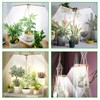 bodkar Wooden Grow Lights for Indoor Plants Full Spectrum, Slim