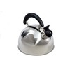 Sunncamp CW3030 Rapport Stainless Steel Whistling Kettle - Silver