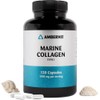 Marine Collagen Capsules 1500mg – Hydrolysed Type 1 Collagen Peptides