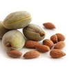Gumleaf Essentials Gumleaf Essentials Sweet Almond Carrier Oil - 4.2fl