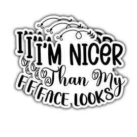 (3PCS) I'm Nicer Than My face Looks Sticker. Funny Inspired, Inspirational Motivational Gifts, Waterproof Vinyl Decal for Water Bottles, Laptops, Phones, Tumblers, Size 2,8 x 3 Inch