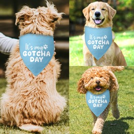 It's My Gotcha Day Dog Bandana Adoption Day Dog Bandana Blue Dog Bandana Pet Bandanas for Dogs Funny Cute Dog Bandana Photo Prop Pet Scarf Accessories for Pet Dog Lovers Gifts