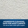 Prochem Dry Slurry Professional Cleaning Concentrate Detergent Powder for Carpet,