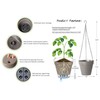 Melphoe Hanging Planter for Indoor Plants Self Watering, 8 Inch