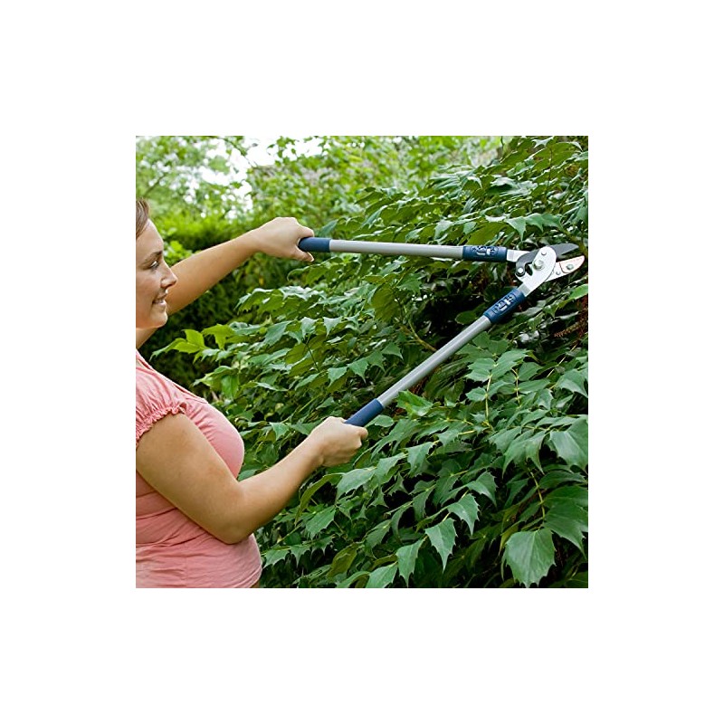Spear & Jackson 4826RSA Razorsharp Active Anvil Lopper