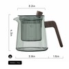 Tea Canyon Glass Teapot with Removable Glass Infuser, Teapot Kettle