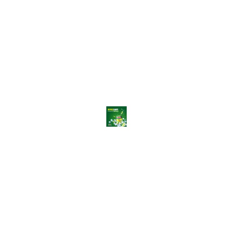 Yerba Mate Campesino 500gr Limón y Menta