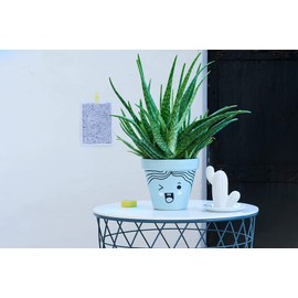 edding 750 Gloss Paint Markers – Purple – 1 Paint Marker – Bullet Tip 2-4 mm – Paint Pen for Glass, Stone, Wood, Plastic and Paper – Waterproof, Strong Opaque