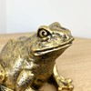 Alfie Francis Gold Frog Ornament Statue Home Shelf Decor Sculpture