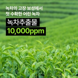 Nature Republic Moisture 3-piece set 1+1+1 Young Green Tea Mild Toner + Emulsion + Cream / 네이처리퍼블릭 수분 3종세트 1+1+1 어린녹차 순한 토너+에멀전+크림