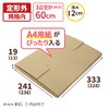 Earth Cardboard ID0082 Cardboard, Compatible with Kuroneko DM Services, Set