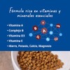 Virbac Nutri-Plus Gel Suplemento Nutricional 120g Perros y Gatos