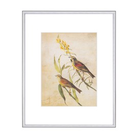 8x10 Picture Frame, Silver Modern Aluminum Metal Photo Frame with HD Glass, Fits 5x7 with Mat or 8 x 10 without Mat, for Tabletop and Wall Mounting, 1 Pack