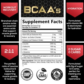 BCAA Powder Watermelon Blast - Post Workout Muscle Recovery Support Drink for Hydration - Sugar Free BCAAs Amino Acids Powder Pre Workout Energy 2:1:1 Branched Chain Amino Acids - 50 Servings