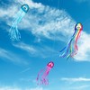 Wolkenstürmer® Mini Octopus (Rainbow) Children's Kite - Octopus Octopus Single