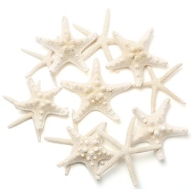 SKOOLOVE 10PCS Natural Starfish Mixed, Finger Starfish and Bread Starfish for Wedding Decor, Home Decor and Craft Project