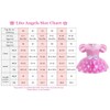 Lito Angels Baby Girls Minnie Fancy Dress Up Costume Infant