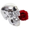 Mendler Decorative Skull HWC-T921, Polyresin Sculpture Skull, Indoor/Outdoor 18 cm,