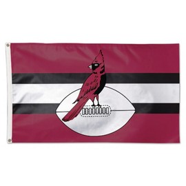 Stockdale Arizona Cardinals WC Retro Throwback Logo Premium 3x5 Flag Outdoor Banner Football