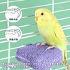 PAVIKE Nail Sharpening Step, Small Animals, Monga, Washable, Nail Sharpener,