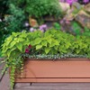 Southern Patio 24" Medallion Window Box, Terra Cotta