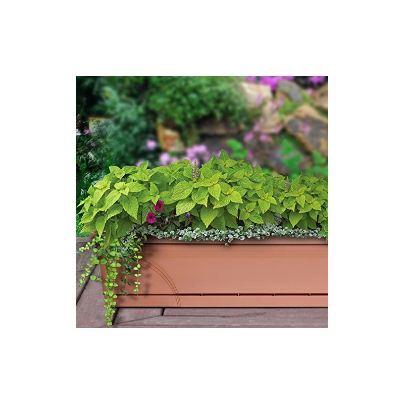 Southern Patio 24" Medallion Window Box, Terra Cotta