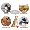 Dog Squeaky Toys Dog Chew Toys for Aggressive Chewers Indestructible