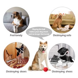 Dog Squeaky Toys Dog Chew Toys for Aggressive Chewers Indestructible Pet Toy for Training and Cleaning Teeth Non-Toxic Natural Rubber