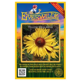 Everwilde Farms - 500 Yellow Gaillardia Native Wildflower Seeds - Gold Vault Jumbo Seed Packet