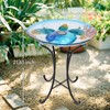 MUMTOP Outdoor Bird Bath, Large Glass Bird Baths Bowl with