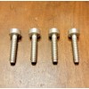 STIHL NEW Genuine STIHL (4-Pack) Pan Head Self-Tapping Screw D5x24