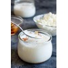 VIVO Kefir Starter with Probiotics (5 Boxes) Makes up to