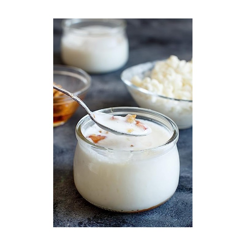 VIVO Kefir Starter with Probiotics (5 Boxes) Makes up to
