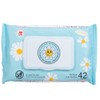 Yolo The Brand Cleansing Wipes (1 Pack, Unscented)
