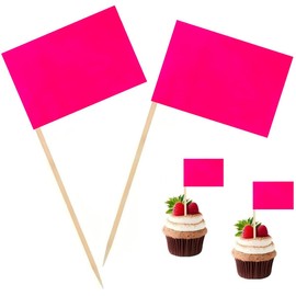 100 Pcs Pink Flag Blank Toothpick Flag Small Mini Labeling Marking DIY Stick Flags for Cocktail Fruit Cupcakes Toppers Food Decorations (Pink)
