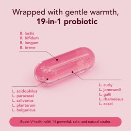 Women’s Probiotics – 60 Count – pH Balance Support with Prebiotics & Lactobacillus Probiotic Blend