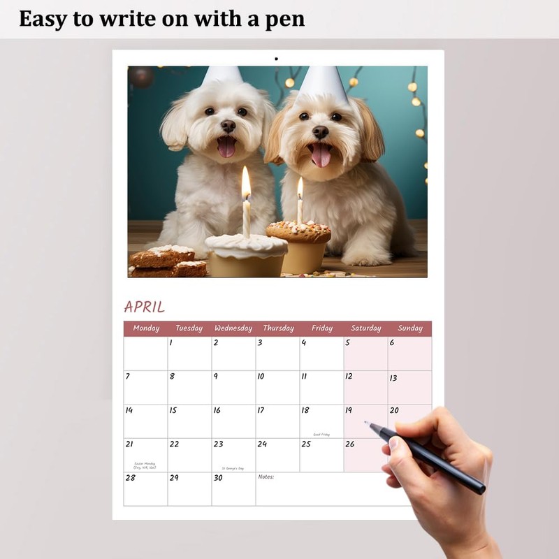 Cockapoo Calendar 2025 12 Month to View A4 2025 Calendar