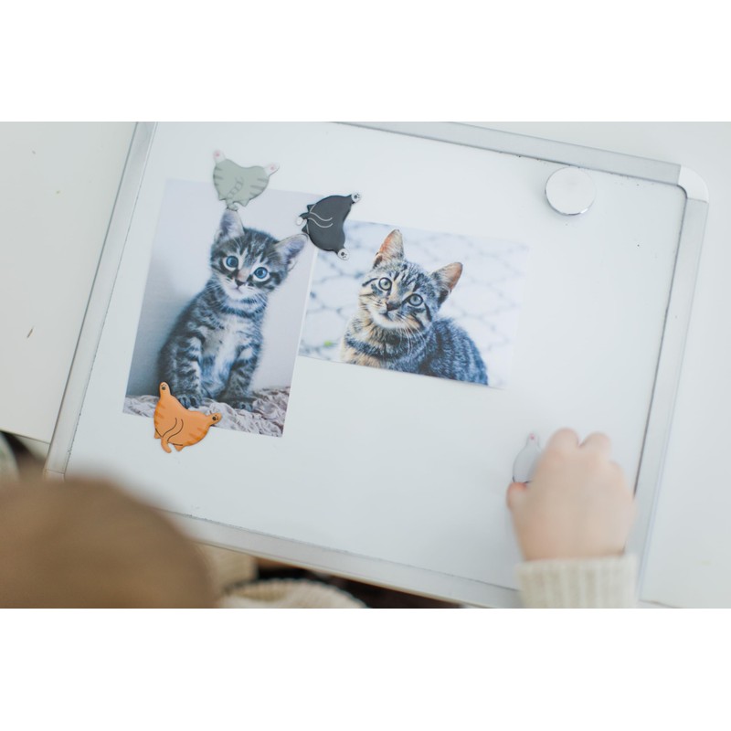 Pearhead Cat Bum Kitchen Magnets, Set of 4, Pet Themed