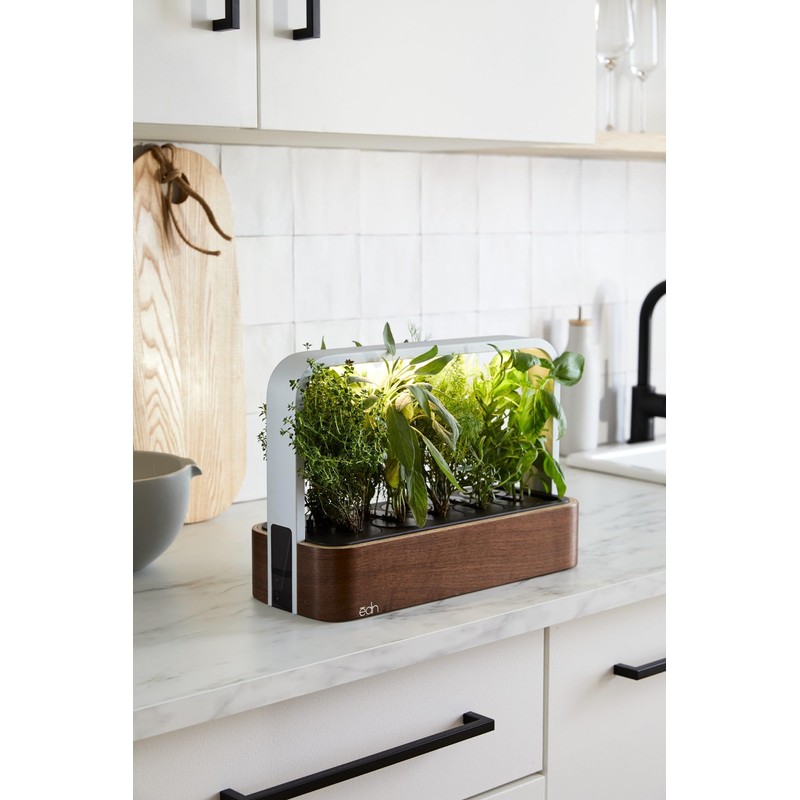 edn SmallGarden Lime Basil/Thai Basil Variety SeedPods - 10 Pack