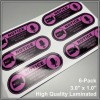 Unbranded Camera in Car Recording Video 6-Pack Decals Pink &