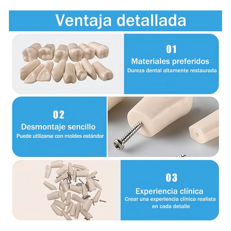 Paquete Dientes Compatibles Nissin Tipodonto