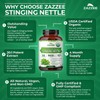 Zazzee USDA Organic Stinging Nettle Leaf 20:1 Extract, 120 Vegan