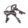Cast Iron Skeleton Keys On A Ring Victorian Antique Style