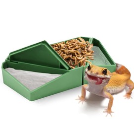 Reptile Feeder Bowl 3-in-1 Reptile Bowl with Dismountable Section for Food Water for Bearded Dragon Chameleon Gecko Frog Small Reptile