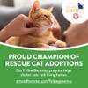 Feline Pine Platinum Non-Clumping Cat Litter, Feline Pine Cat Litter