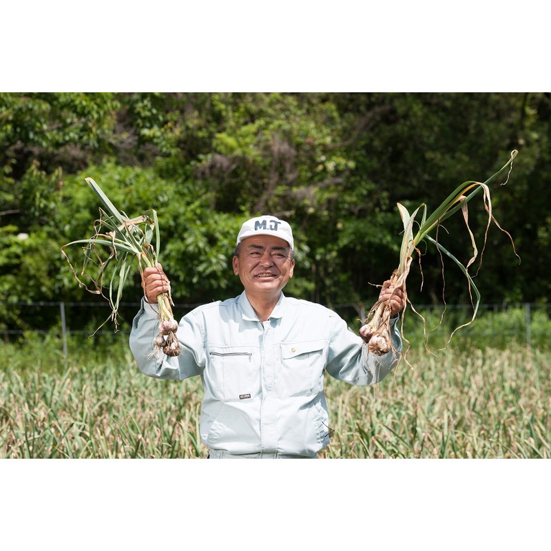 健康クラブ 烏骨鶏のニンニク卵黄 腸溶 62粒