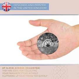 Destination Vinyl ltd Magnet for Refrigerator, Fridge BW - Cute Cheeky Hedgehog Garden for Office, Cabinet and Whiteboard, Magnetic Stickers, 36260