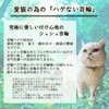 Caniribo Handmade Cat Collar, Simple, Scrunchy, Comes with Bell, Dull