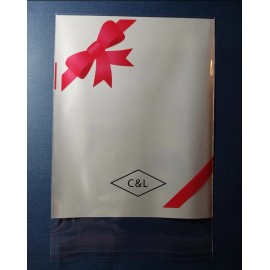 C&L 20pc Jewelry/Gift Clear Unsealed Self Adhesive Easy Peel and Seal 3x4.75"